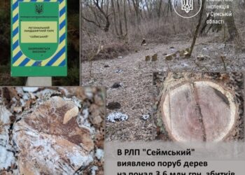 В РЛП “Сеймський” виявлено поруб дерев на понад 3,6 млн.грн. збитків
