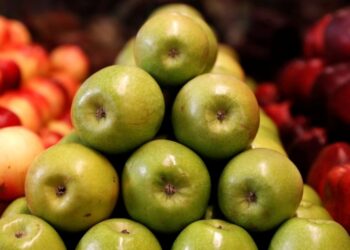В Україні різко знижуються ціни на яблука: скільки коштує кілограм популярного фрукту