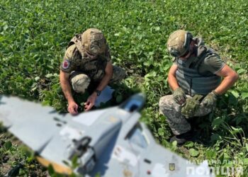 Ворожий безпілотник впав на власному полі 50-річного чоловіка