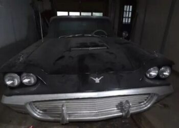 У покинутому будинку виявили колекцію добре збережених ретроавто (ВІДЕО)