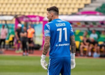 Денис Бойко оголосив про завершення професійної кар’єри