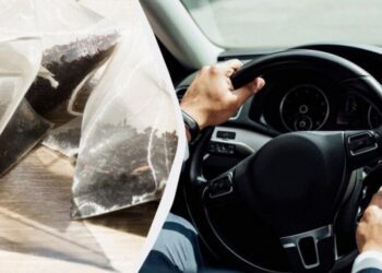 Чому досвідчені водії радять возити чайні пакети на початку весни