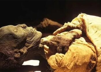 В Єгипті знайшли королівську гробницю та римську майстерню