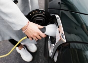 Частка китайських електромобілів на ринку Європи впала до мінімуму