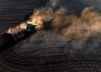 В Україні стартувала сівба цукрових буряків та сої