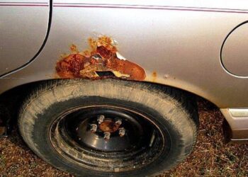 ТОП-5 автомобілів, які швидше за інших схильні до корозії