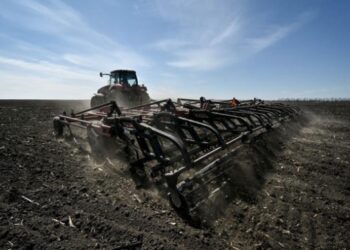 В Україні весняна посівна стартувала у 15 областях