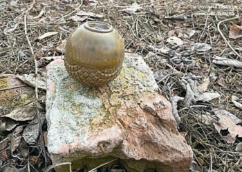 У Сумах на Троїцьку викликали вибухотехніків