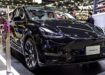 Tesla планує випустити спрощену версію кросовера Model Y