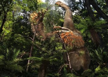 У Монголії знайшли динозавра з двома гігантськими кігтями