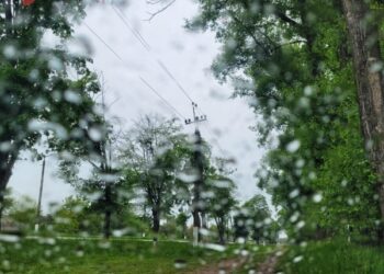 Якою погодою порадують останні вихідні березня 