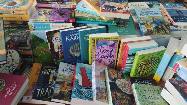 Книги з Англії прямим курсом до Шосткинської бібліотеки (+відео)