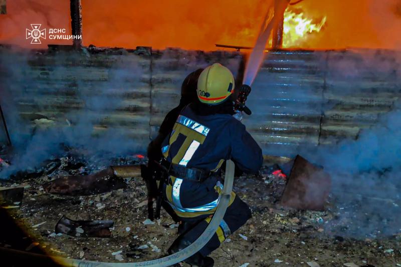 Курмани: під час пожежі у будинку травмувався господар