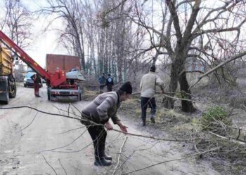 МЕШКАНЦІ СТАРОЇ ІВАНІВКИ ПРАЦЮЮТЬ НАД СТВОРЕННЯМ КРАСИ ТА ЧИСТОТИ