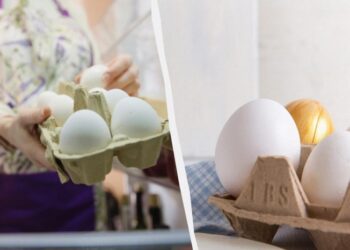 Метод зберігання курячих яєць “по-американськи”: довше залишатимуться свіжими