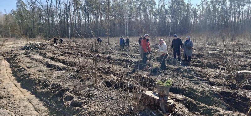 На Кролевеччині стартувала весняна лісокультурна кампанія