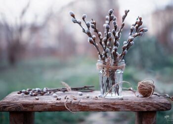 На початку тижня на Сумщині буде плюсова температура