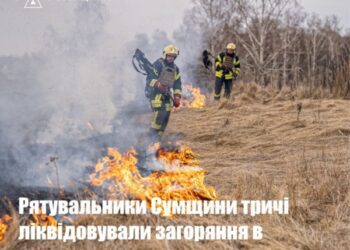 На Роменщині почався “сезон” пожеж в екосистемах 