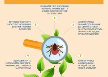 На Сумщині активізувались іксодові кліщі