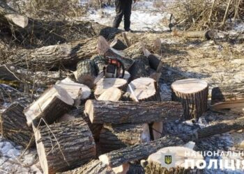 На Сумщині чоловік у природо-заповідному фонді нарубав дерев на 850 тисяч