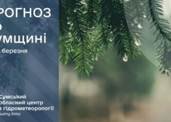 На Сумщині на початку тижня прогнозують дощі