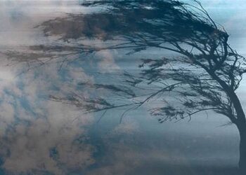 На Сумщині синоптики прогнозують сильний вітер