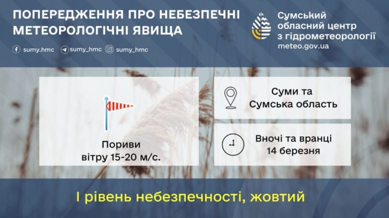 На Сумщині синоптики прогнозують сильний вітер