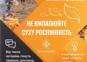Не випалюйте суху рослинність!