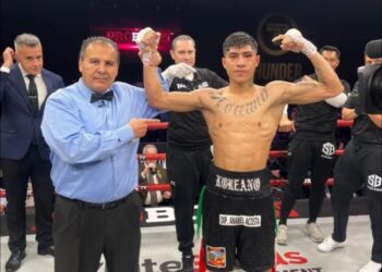 Ніколас Волтерс достроково програв Луїсу Торресу