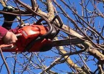 Охтирка оголосила тендер із благоустрою на 821 тисячу гривень