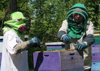 По тисячі євро на власну справу: 150 домогосподарств Шосткинської громади отримали грантові гроші