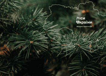 ПОВІДОМЛЕННЯ про плановану діяльність, яка підлягає оцінці впливу на довкілля