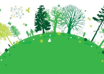 Повідомлення про  початок процедури  визначення обсягу стратегічної екологічної оцінки