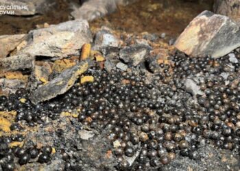 Російський “Шахед”, що влучив у медзаклад Сум, був начинений шрапнеллю