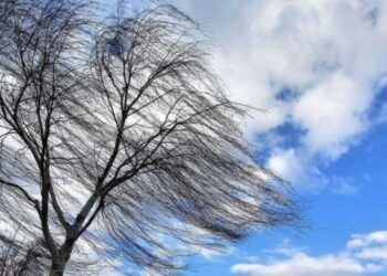 Синоптики попереджують про сильний вітер