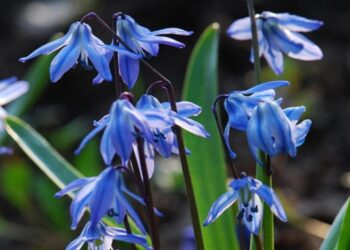 Синоптики розповіли, якою буде погода на Сумщині на початку тижня