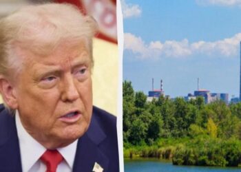 Трамп заявив, що США допоможуть Україні в управлінні атомними станціями