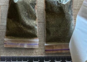 У двох жителів Шосткинщини знайшли та конфіскували наркотики