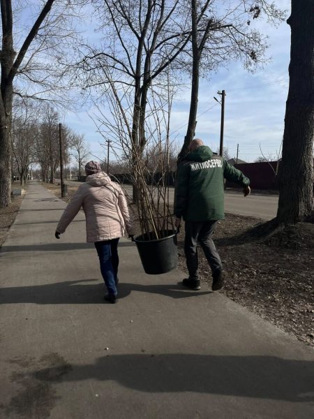 У Конотопі висаджували дерева