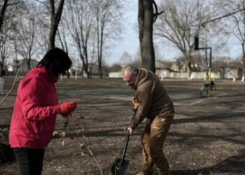 У Конотопі висаджували дерева