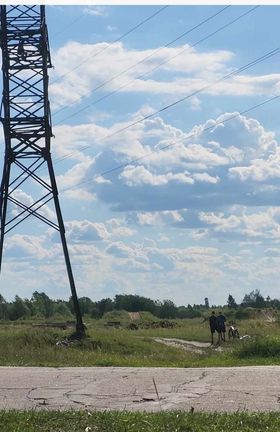 У Шостці діти продовжують гратись у небезпечних місцях
