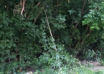 У Шостці дівчина-підліток стрибнула з недобудови