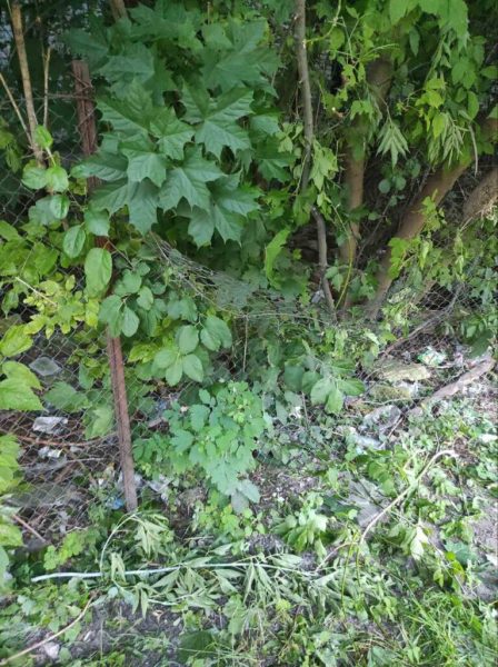 У Шостці дівчина-підліток стрибнула з недобудови