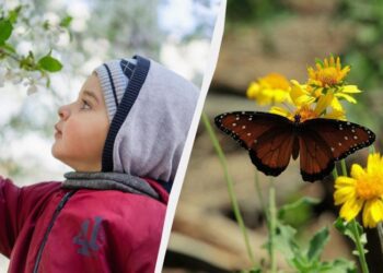 Україна відзначає велике свято: кого треба привітати 26 березня 2025 року