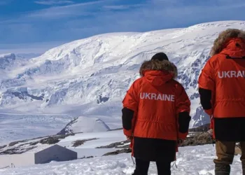 Українські полярники вперше оприлюднили запис зі спілкуванням косаток
