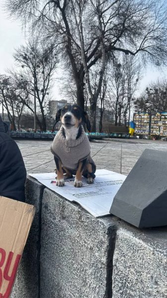 В Охтирці пройшла акція &ldquo;Не мовчи! Полон вбиває&rdquo;