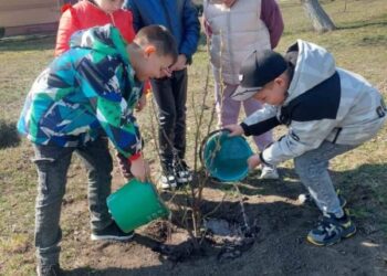 В Овлашівському навчальному закладі висадили фруктовий сад