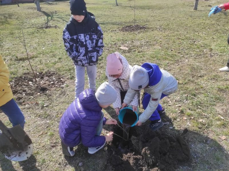 В Овлашівському навчальному закладі висадили фруктовий сад