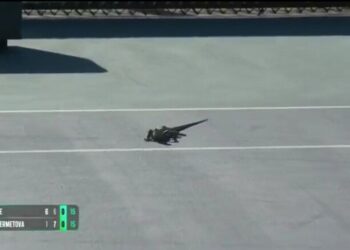 ВІДЕО. Під час матчу напарниці Костюк у Маямі на корт вибігла ігуана