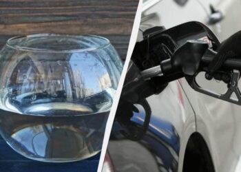 Водіям розповіли, як зменшити витрату палива: потрібна миска з водою